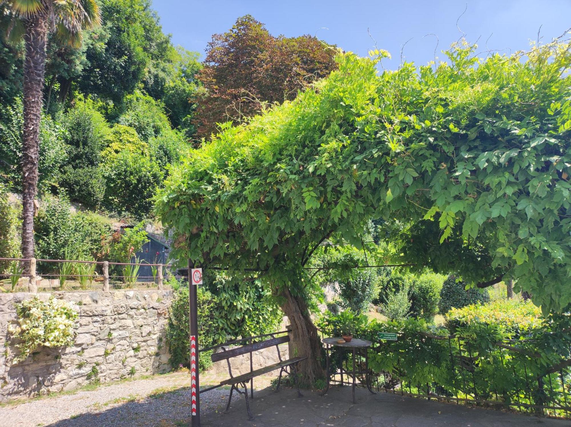 Villa Antonella, App. Vittoria Tavernerio Exteriér fotografie